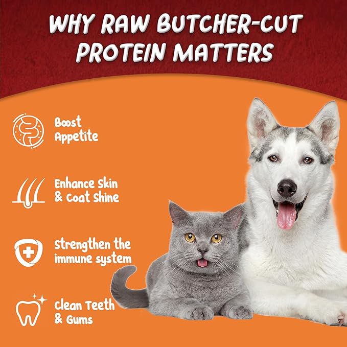 Freeze-Dried Raw Minnows Cat Treats, Single Ingredient Wild-Caught Human Grade Fish, High-Protein Training Rewards & Meal Toppers, Bulk Pack for Multi-Pet Homes (2.8 Ounce)