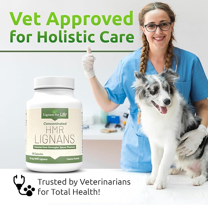 Lignans For Life HMR Lignans 20mg - 90 Capsules - Vitamin for Healthy Pet | Natural Multivitamin | Wellness Supplement | Overall Health with Phytonutrients