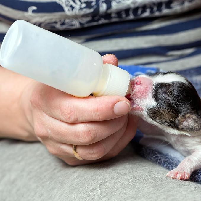 GKYZBB 4Pack 120ML pet Puppy Bottles for Nursing,Kitten Bottle Feeding Kit Nipple for Newborn Kitten Puppy Rabbits Squirrel Animals （Blue Cover）