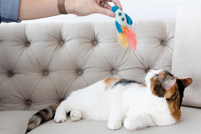 Pearhead Pawstronaut Cat Toy Set, Feather Teaser and Rattle Catnip Toy Set, Must Have Pet Accessories
