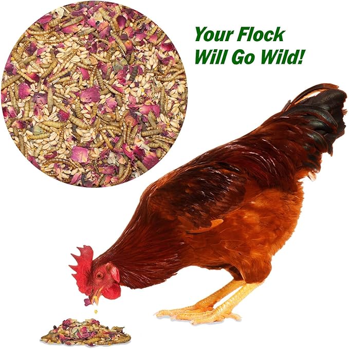 Exotic Nutrition Bee-Tastic - Healthy All-Natural Chicken Treat - Dried Insects, Flowers, Herbs Wheat Berries & Bee Pollen - Promotes Healthy Chickens & Eggs (7 oz)