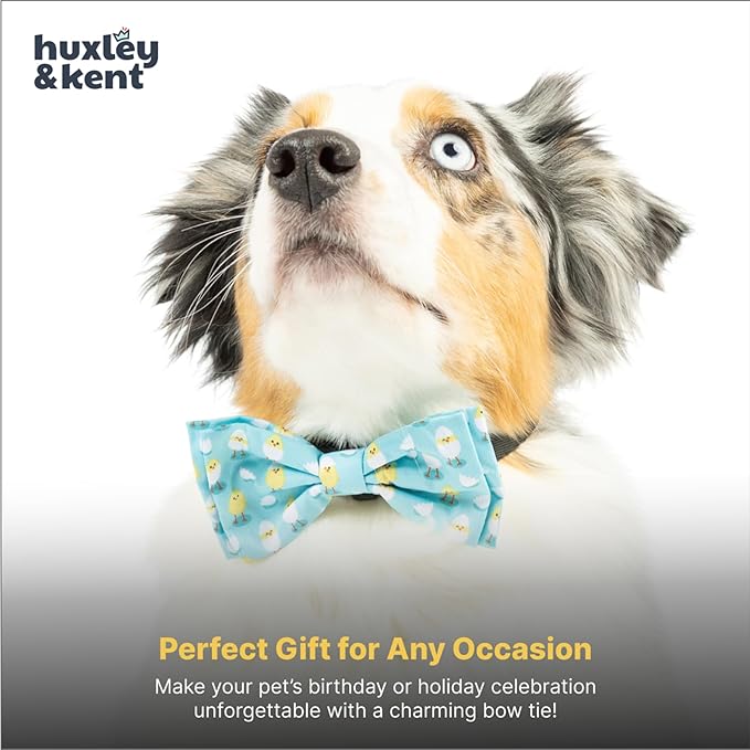 Huxley & Kent Pet Bow Tie for Dogs & Cats - Spring Easter Adjustable Hook & Loop Collar Accessory - Cute & Comfortable for Holidays & Celebrations - Chicks & Eggs, Large
