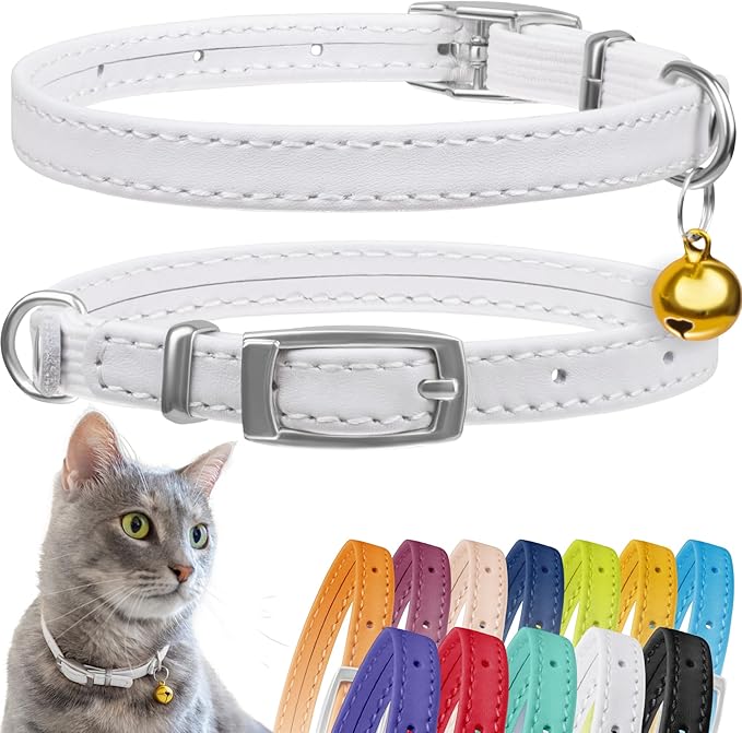 CollarDirect Leather Cat Collar with Bell - Kitten Collar, Small and Big Cat Collar for Boy Cats, Girl Cats with Safety Elastic Strap (Neck Fit 8"-11", White)