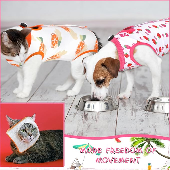 Nuanchu 3 Pieces Cat Recovery Suit Kitten Recovery Suit E-Collar Alternative for Cats and Dogs Abdominal Skin Anti Licking Pajama Clothes Sets(Medium,Fruit Style,Colorful)