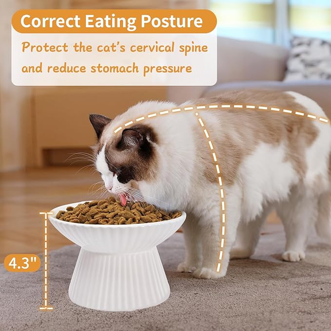 Upgraded 2 Ceramic Elevated Cat Bowls 6.5'' Extra Wide Raised Cat Food Bowls for Food and Water, Anti Vomiting, Cat Dishes for Indoor Cats, Whisker Friendly, Dishwasher & Microwave Safe
