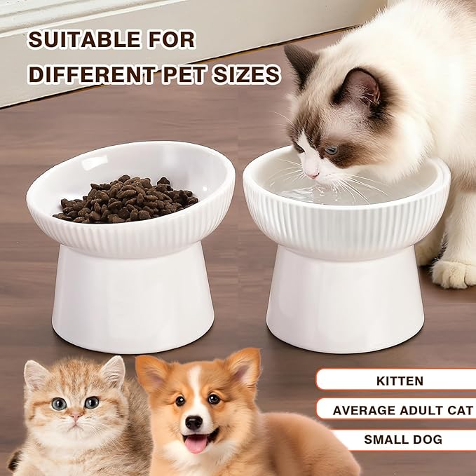 Elevated Cat Food Bowl, Ceramic Raised and Tilted Water Bowl, Whisker Fatigue Cat Bowls for Indoor Cats, Anti Vomiting and Protect Spines Pet Feeding Dishes for Kittens Small Dog, Heavy Non-Slip Base