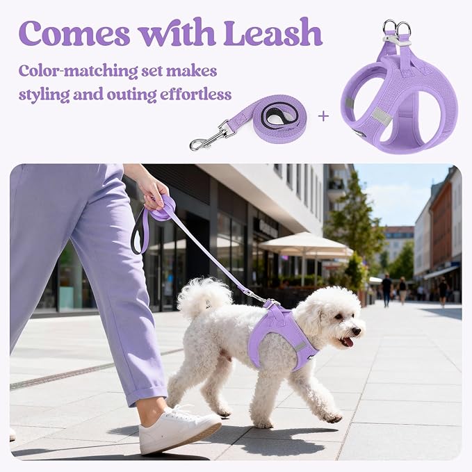 rabbitgoo Dog Harness Small Sized and Leash Set, Step in Soft Light Puppy Vest, Breathable Mesh Pet Harness, Reflective for Safe Easy Walking, Light Purple S