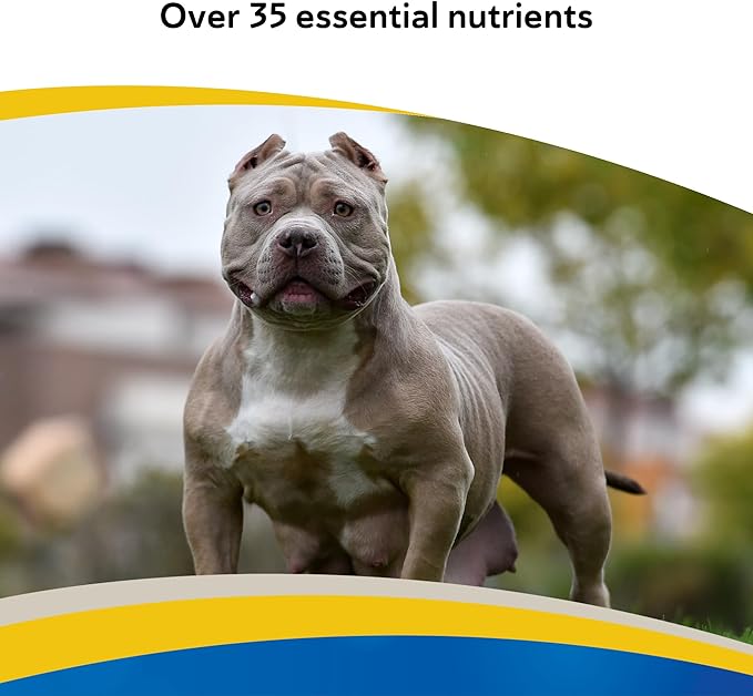 Doc Roy's Daily Care Extra Canine, Advanced Multivitamin Supplement for Dogs, Supports Energy, Immune, Muscle, Bone & Brain Health, Provides Vitamins A C D3 E B Complex, Iron Zinc, 400g Granules