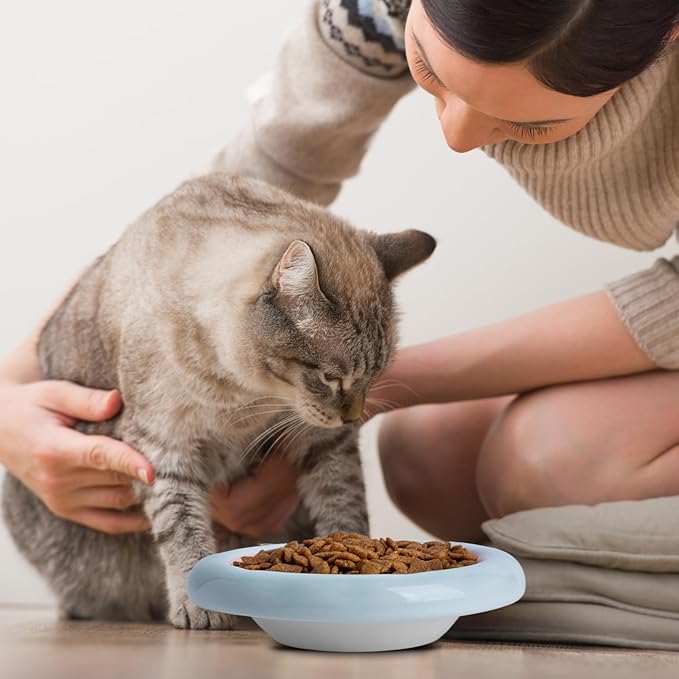 6-Inch Ceramic Cat Food Bowl,6 Oz Wide Shallow Cat Bowls,Whisker Fatigue Relief,Anti-Vomiting Design,Spine Protection for Cats,Dishwasher and Microwave Safe,Set of 1(Pink and Blue)