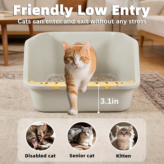 Large Cat Litter Box with High Sides,Cat Litter Pan for Indoor Big Cats,Open Top High Wall Kitty Litter Box with Low Entry for Kitten & Senior Cat,Easy to Clean,Anti-Splashing (Grey)