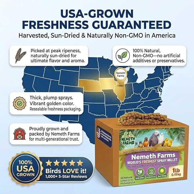 USA Grown Spray Millet for Birds – Midwest Harvest, 1 lb Premium 100% Natural, Sun-Dried Non-GMO Whole Millet Sprays, Bird Treat for Parakeets, Budgies, Cockatiels, Conures, Lovebirds & Finches