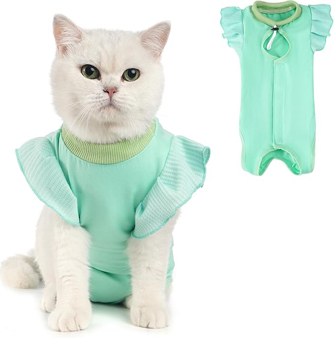 Avont Cat Recovery Suit - Post-Surgery Onesie for Cats, Alternative to Cone of Shame, Protective Spay Suit for Female Kitten, Ideal for Healing and Skin Conditions -Mintgreen(S)