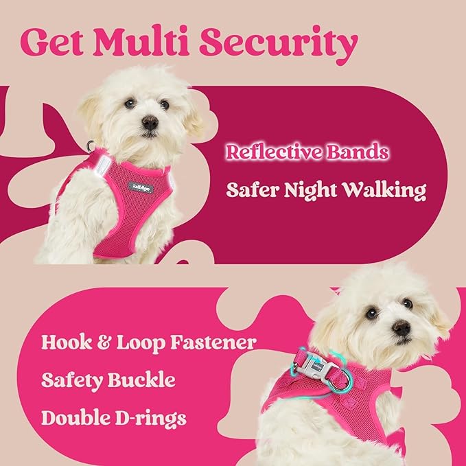 rabbitgoo Small Dog Harness, Step-in Soft Mesh Puppy Vest with Safety Buckle, Breathable Reflective Pet Harness for Small Medium Dogs, Rose Red XL