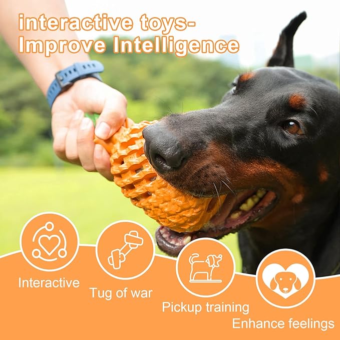 Dog Toys for Aggressive chewers