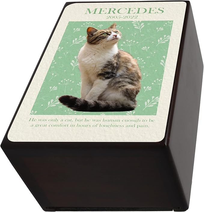 Custom Pet Keepsake Urns for Cats, Wooden Box for Pet Ashes with Photo for Your Beloved Pets, Pet Cremation Urns as Sympathy Gifts for Pet Lovers - Small, 6" x 4" x 2.75" Pet Urn (Marcedes)