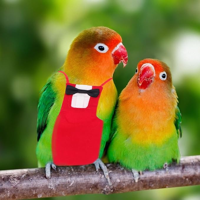 Milisten Parrot Diaper Clothing Breathable Bird Diaper Crimson Size M Flight Suit Pet Bird Supplies Creative Urine Protector for Small to Medium Parrots