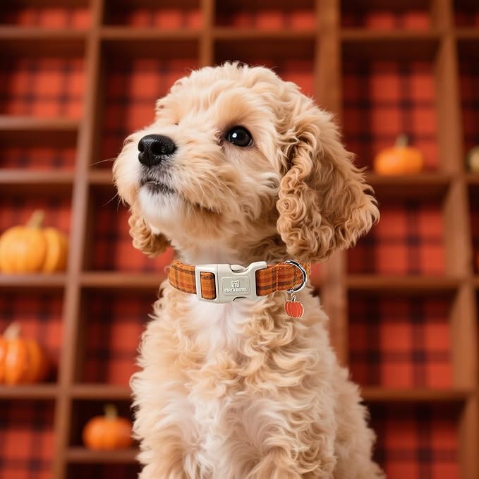 Maca Bates Fall Plaid Basic Dog Collar,Pumpkin Charm,Extra Large Girl,Boy,Autumn Brown Gingham Puppy Collars Halloween Checkered Print,Adjustable Durable Soft for Male Female Dogs with Safety Buckle