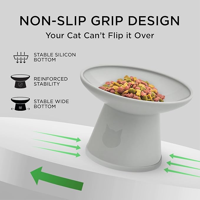 Necoichi 2pcs Extra-Wide Elevated Cat Food Bowls – BPA-Free Plastic Raised Bowls to Reduce Whisker & Neck Fatigue – Dishwasher Safe – Non-Slip, Anti-Vomiting Ergonomic Design(Classic)