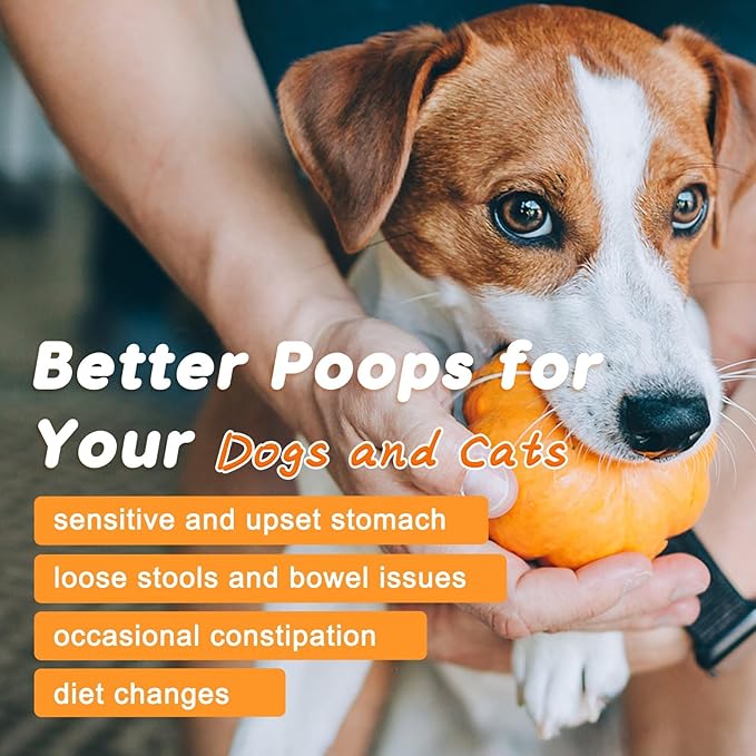 Multivitamin for Dogs Soft Chews & Pumpkin Powder for Dogs