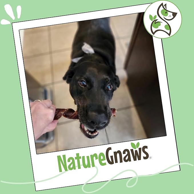 Nature Gnaws Beef Gullet Springs for Dogs 7-8" (6 Count) - Natural Beef Jerky Stick Dog Chew Treats - Rawhide Free