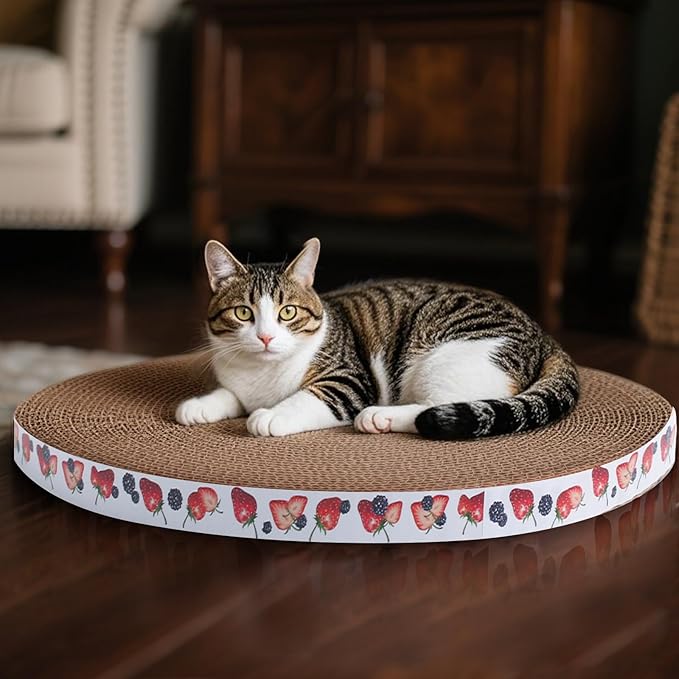 Round Cat Scratcher Pad 10 inch Diameter 3/5 inch Thickness Scratch Replacement Refill Scratching Board Cat scratchers for Indoor Cats (2 Pc)