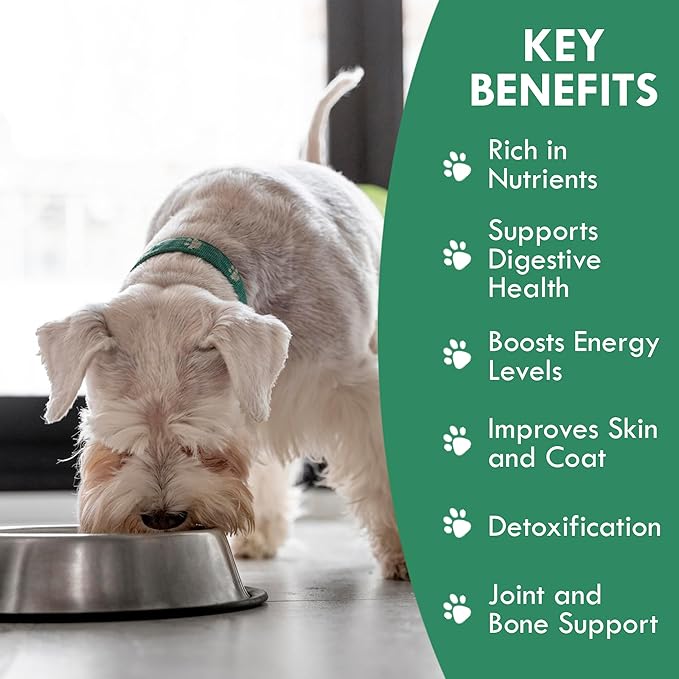 Holistic Bin Canine Super Greens Plant-Based Dog Food Toppers | Nutrient-Rich Supplement Powder | Gut Balance, Joint Strength, Digestion, Fresh Breath & Overall Canine Wellness | Greens Powder (50g)