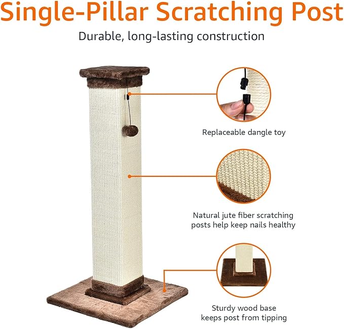 Amazon Basics Cat Scratcher - Indoor Classic Single Cat & Kittens Scratching Post with Sisal Rope,Large (35.4"H) - Brown