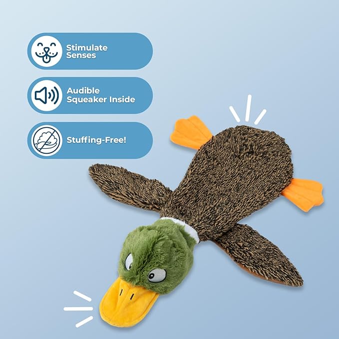 Best Pet Supplies Squeaky Dog Toys with Soft Durable Fabric for Small, Medium and Large Pets Interactive Toy for Indoor Play, Supports Active Biting and Play - 1Wild Duck, Pig, Medium