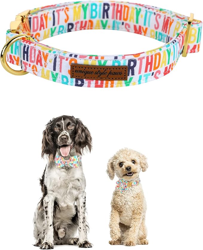 Unqiue Style Paws Birthday Dog Collar, Soft and Cute Dog Bow Tie, Durable Pet Collar with Bow Adjustable Bow Dog Collar for Medium Dogs