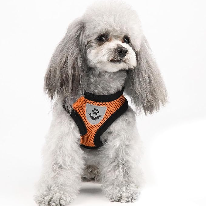 shudyear Summer cat Chest Harness and Leash, Anti-Escape Adjustable Soft mesh cat Leash and Chest Harness Set for All Types of Cats cat Vests (Size M, Orange)