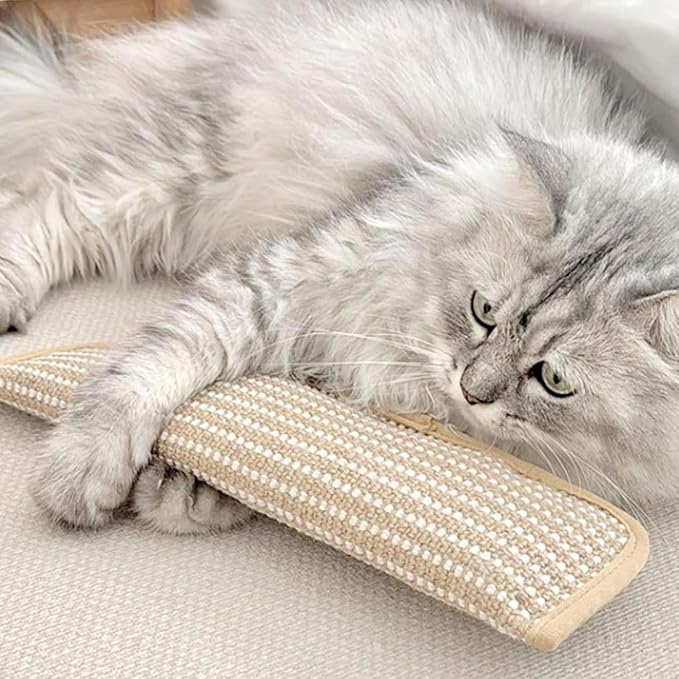 Interactive Catnip Chew Toy 2 Pack Catnip Kicker Soft Sisal Pillow for Cats with 6000mg Organic Catn IP Durable Bite Resistant Kicking Chewing Teething Scratching for Indoor Kitten and Adult Cat (2PC)