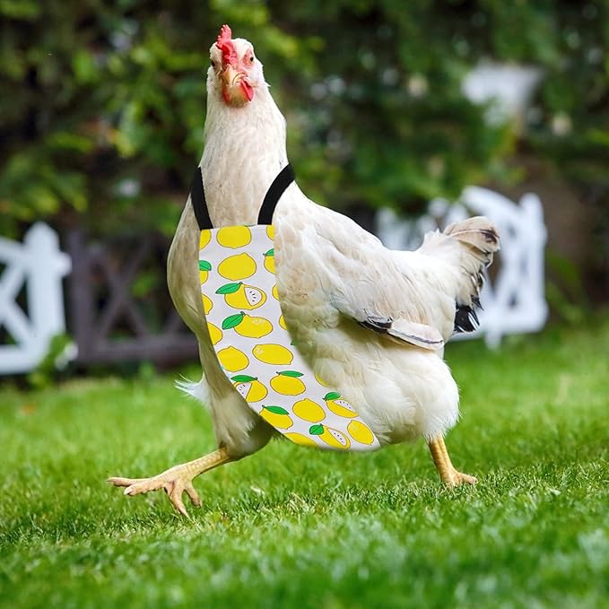 Chicken Duck Goose Diaper Washable Pet Fruit Print Diapers for Hens Roosters Poultry (Lemon, Medium)