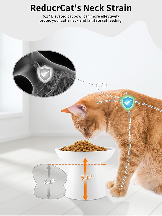 LoeJan Elevated Food and Water Bowls Set, Extra Wide and Raised Ceramic Feeder, Anti-Vomit Whisker-Free Pressure Cat Feeding Bowl for Kittens Adult Cats Small Dogs (White, Food Bowl)