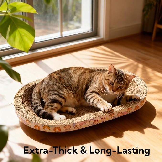 5 Pack Large Cat Scratcher Cardboard, Oval Cat Scratcher Bed Cat Scratch Pad Board Lounge Couch for Indoor Cats Bowl Shaped Cat Scratching Post Nest for Cats Grinding Claw Furniture Protector
