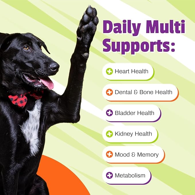Pet Naturals Daily Multivitamin for Dogs – 21 Essential Nutrients, Fatty Acids & Antioxidants for Complete Health, Supports Energy, Digestion, Skin & Coat | Veggie Flavor Soft Chews, 150 Count