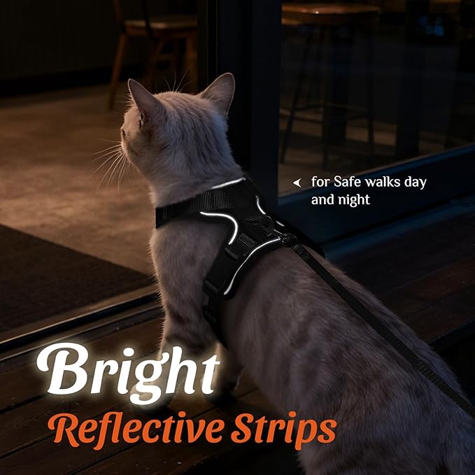 Dooradar Cat Harness and Leash Set, Escape Proof Safe Adjustable Kitten Vest Harnesses for Walking, Easy Control Soft Breathable Mesh Jacket with Reflective Strips for Cats, Black, XXS