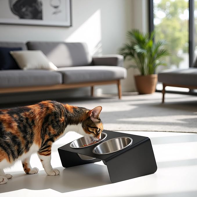 Elevated Pet Bowl, for Cats and Small Dogs