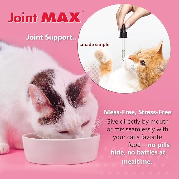 Liquid for Cats – Joint & Mobility Support Supplement with Glucosamine, MSM, Chondroitin, Omega-3 – Helps Ease Stiffness & Discomfort – 2 fl oz – Made in USA – NASC Certified