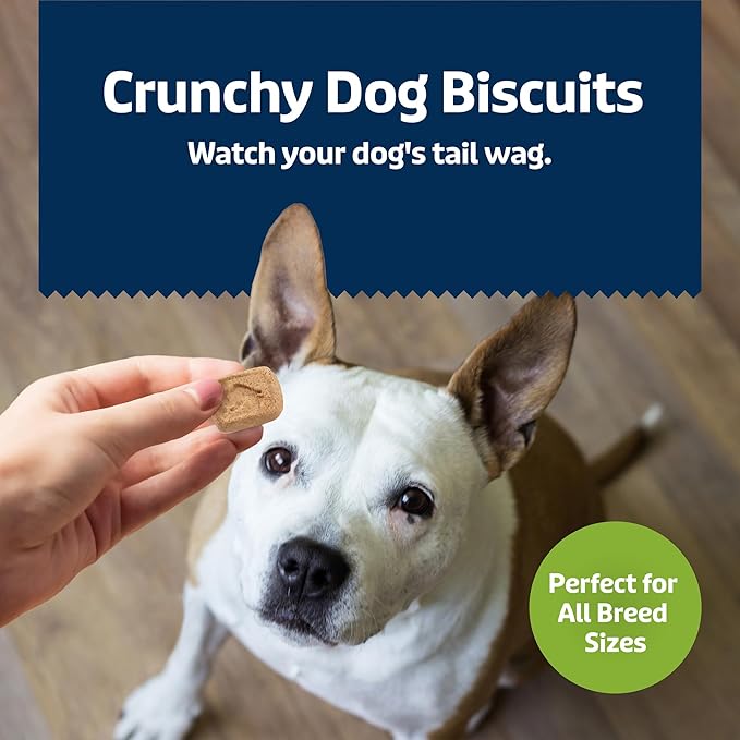 Blue Buffalo Health Bars Mini Crunchy Dog Biscuits, Oven-Baked with Natural Ingredients, Apples & Yogurt, 32-oz Bag