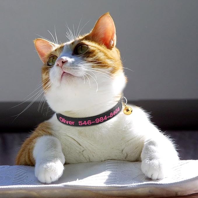 Cat Collar, Personalized Nylon Breakaway Cat ID Collar Embroidered with Pet Name and Phone Number and Bell (Without Airtag case)