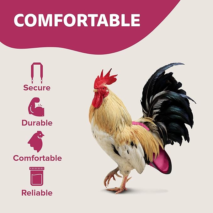 Hen Holster Premium Starter Kit - Bird Diaper, Wrap Around for Hens, Roosters, Ducks - Leak-Proof, Comfortable Bird Harness with Sewn-in Liner, Secure Hook & Loop Closure - Large, Pink