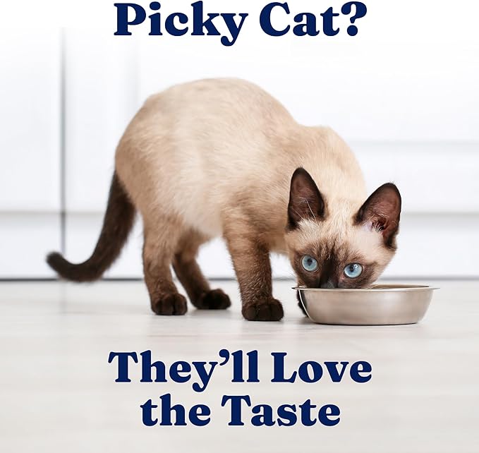 Solid Gold Wet Cat Food Pate in Coconut Oil - Healthy Canned Cat Food Pate w/Real Chicken, Omega Fatty Acids, Vitamins & Minerals - Grain Free & Gluten Free Canned Meals for Cats & Kittens - 24ct/3oz