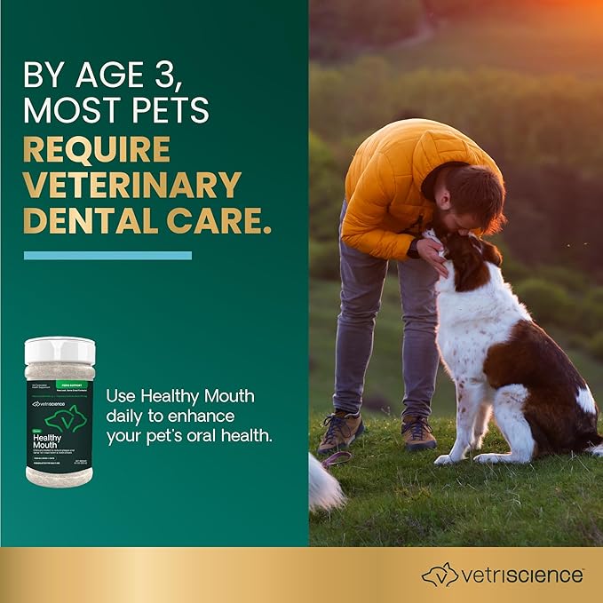 VetriScience Dental Care Powder, Clinically Tested Dental Supplement for All Dogs & Cats, Freshen Breath, Control Plaque & Tartar, Oral Health with Probiotics, Perio Support, 4.2 oz