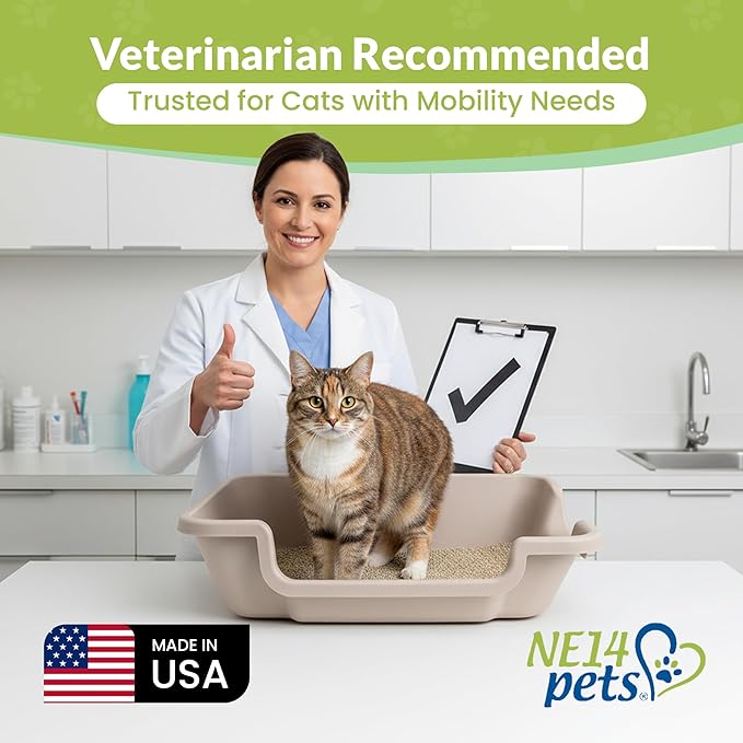 KittyGoHere 2.0 Easy-Entry Cat Litter Box – Large Open-Top Low Entrance Litter Pan with Higher Sides & Two Entrances – Ideal for Senior & Arthritic Cats – Made in USA (Grey)