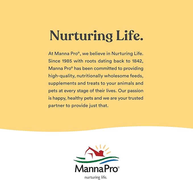 Manna Pro Hen Healer Multi-Purpose Ointment | Helps Support Healing | 2 Ounces
