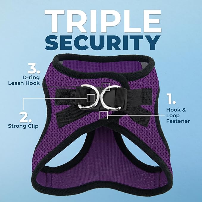 Best Pet Supplies Voyager Step-in Air Harness - All Weather Mesh, Reflective, No Pull Harness for Dogs, Cats - Secure with Hook & Loop Fastener, Buckle, Double D-Rings - Purple/Black Trim, XXS