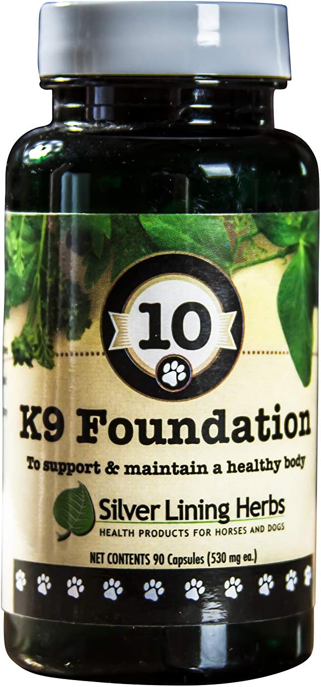 Silver Lining Herbs Overall Dog Health Supplements 10 K9 Foundation - Natural Canine Supplements for Dogs Liver, Kidneys, Digestion, Vitality & Immune System Support for Dogs - 90 Capsules