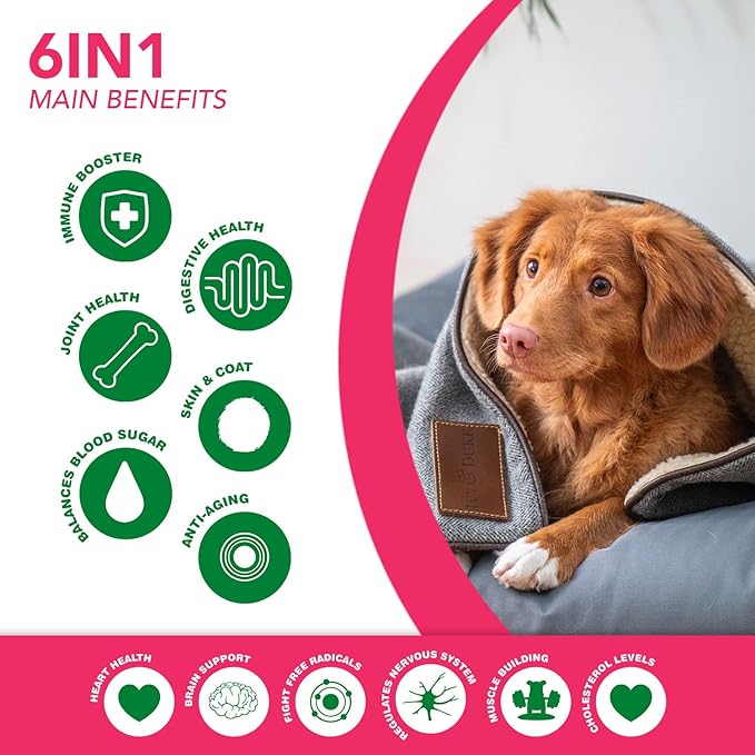 6 in 1 Superfood Dog Supplement with Organic Moringa | Treats for Immune System and Overall Health | Pets All Natural Multivitamins - 90 Chews