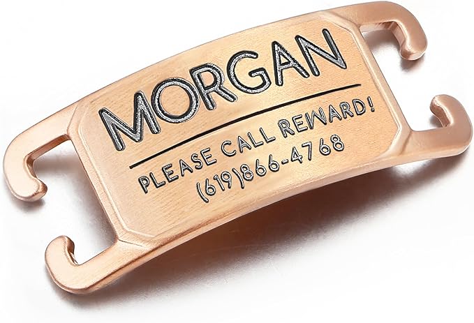 Deep Laser Custom Font Engraved Slide - No Noise Collar Tags, PVD Rose Gold Stainless Steel, 3 Lines of Personalized Text - Pet ID Name Tags for Dogs & Cats - Extra Small