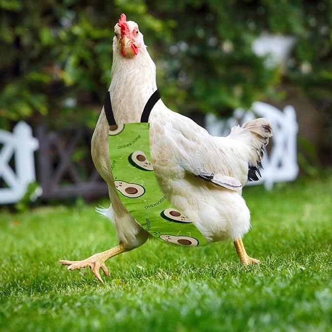 Chicken Duck Goose Diaper Washable Pet Fruit Print Diapers for Hens Roosters Poultry (Avocado, Small)
